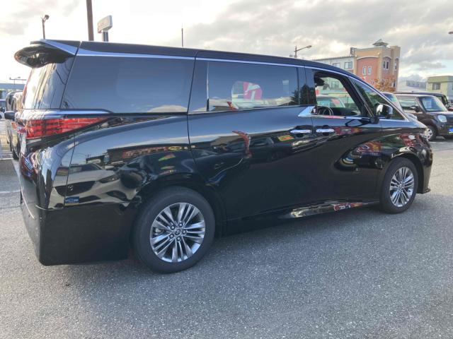 アルファード(新潟県新潟市中央区)