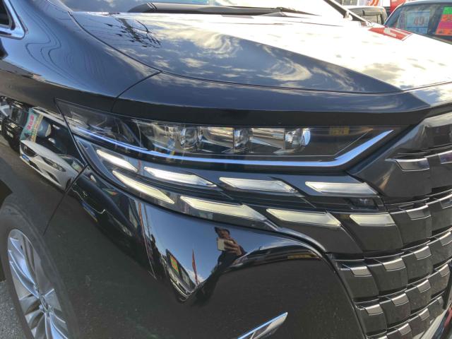 アルファード(新潟県新潟市中央区)