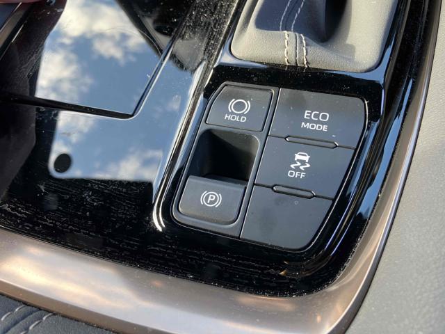 アルファード(新潟県新潟市中央区)