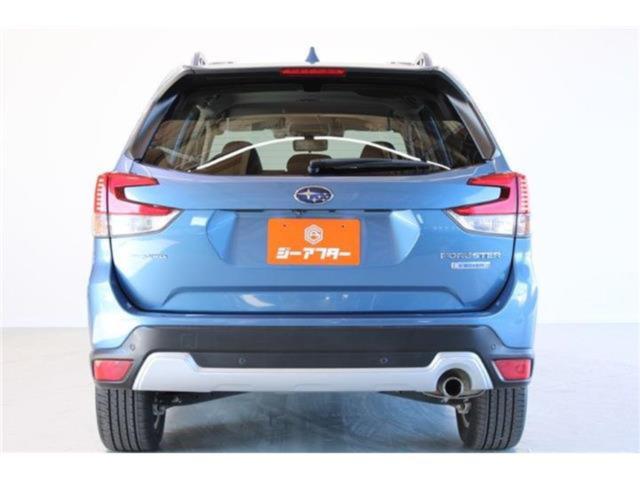 フォレスター(新潟県新潟市東区)