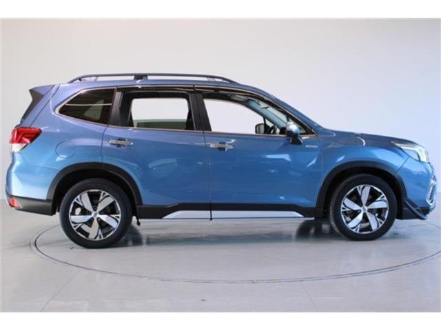 フォレスター(新潟県新潟市東区)