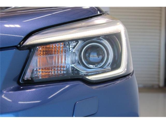 フォレスター(新潟県新潟市東区)