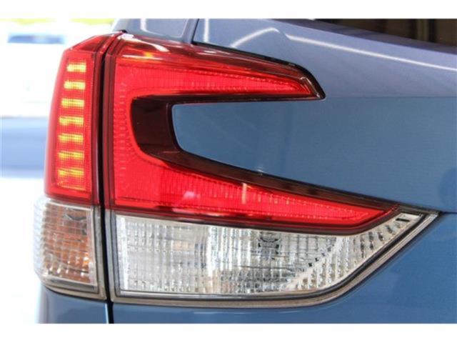 フォレスター(新潟県新潟市東区)