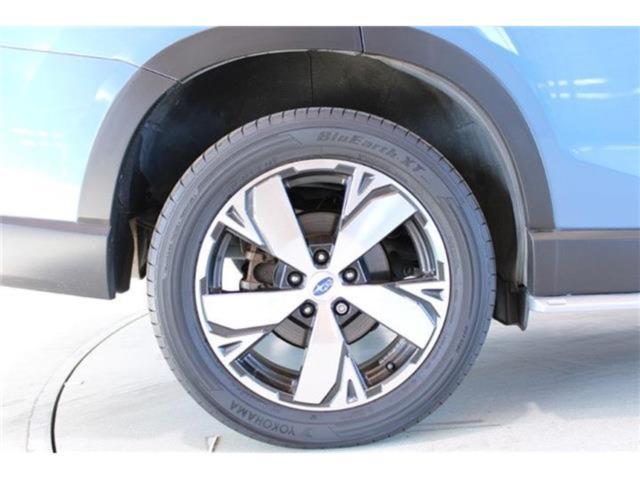 フォレスター(新潟県新潟市東区)