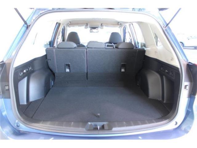 フォレスター(新潟県新潟市東区)