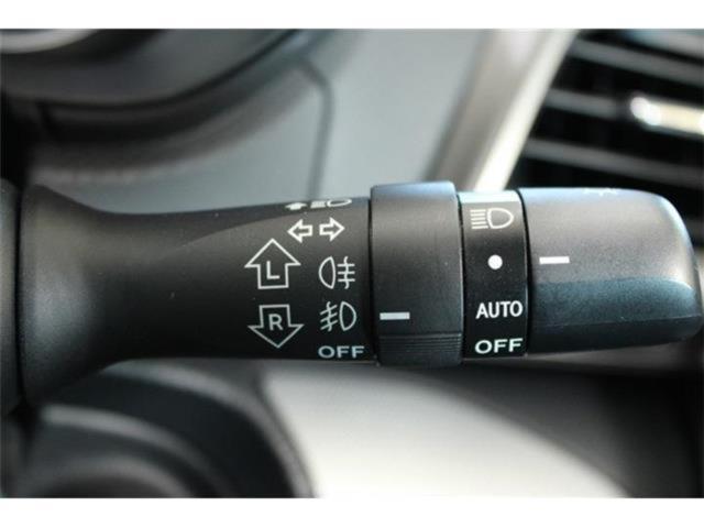 フォレスター(新潟県新潟市東区)