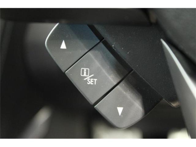 フォレスター(新潟県新潟市東区)