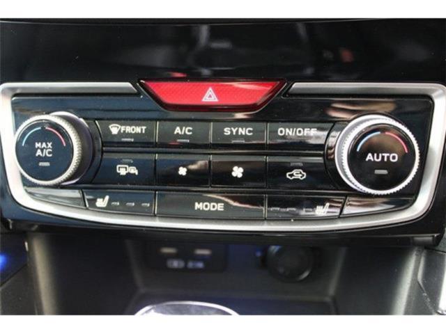 フォレスター(新潟県新潟市東区)