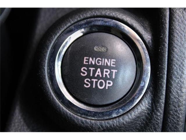 フォレスター(新潟県新潟市東区)