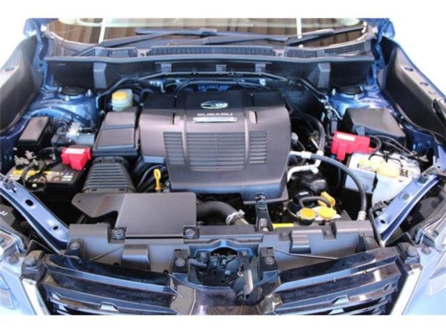 フォレスター(新潟県新潟市東区)