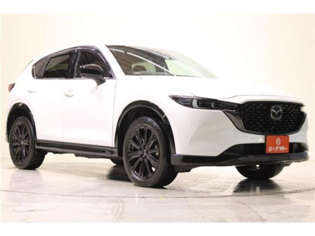 CX-5（新潟県新潟市東区）画像8