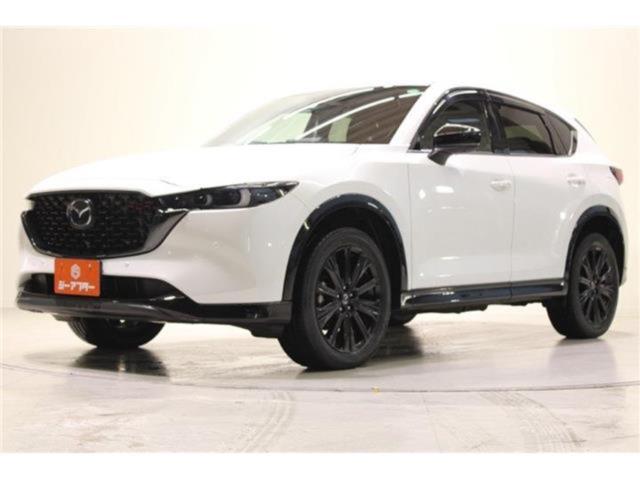 CX-5（新潟県新潟市東区）画像10