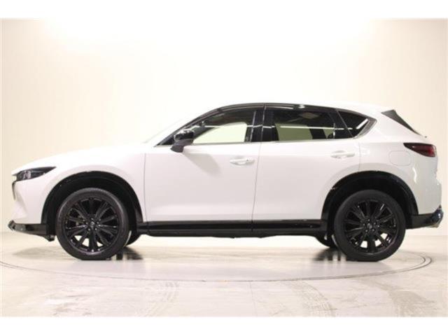 CX-5（新潟県新潟市東区）画像11