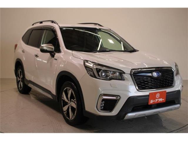 フォレスター（新潟県新潟市東区）画像9