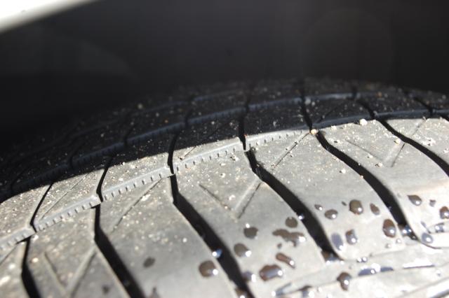 プリウス(新潟県上越市)