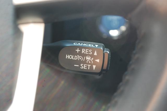 プリウス(新潟県上越市)