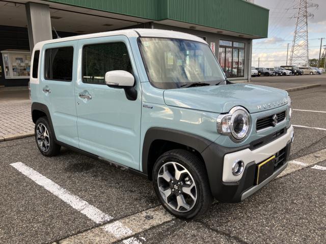 ハスラー（新潟県新潟市西蒲区）画像9