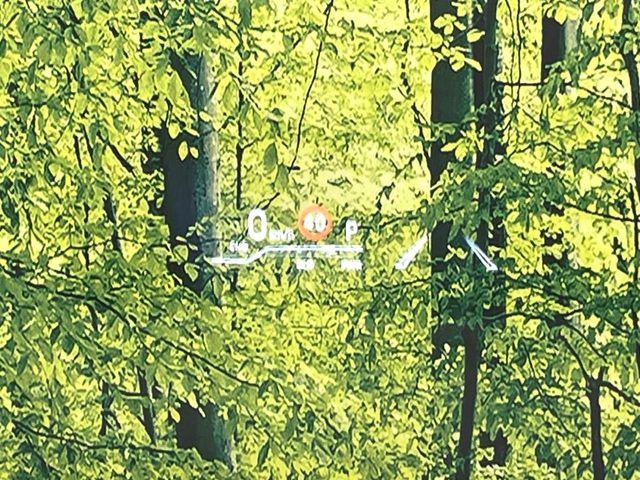 アクア（新潟県新潟市東区）画像31