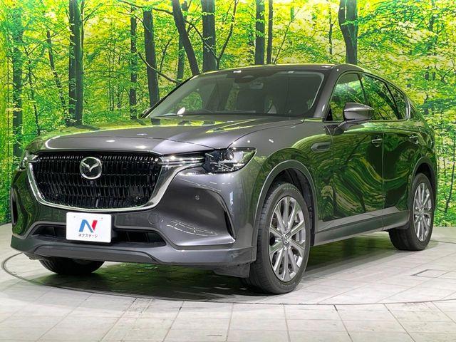 CX-60（新潟県長岡市）画像27