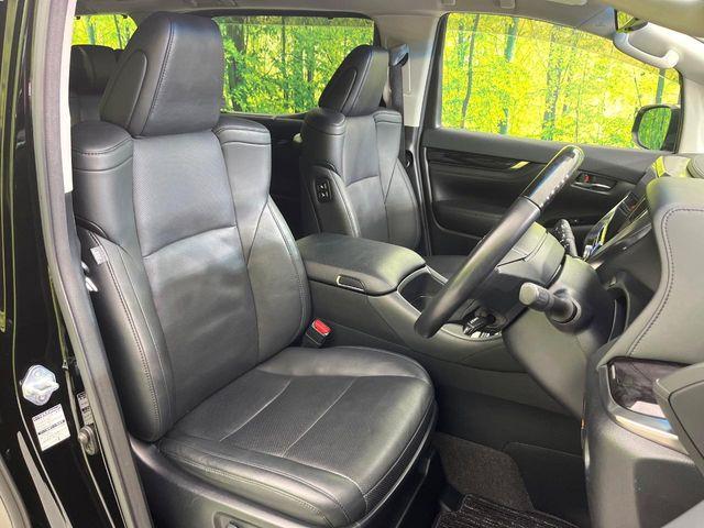 ヴェルファイア(新潟県新潟市東区)