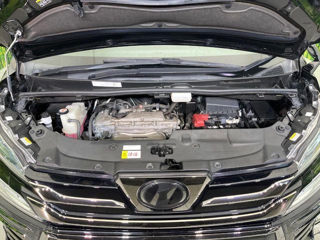 ヴェルファイア(新潟県新潟市東区)