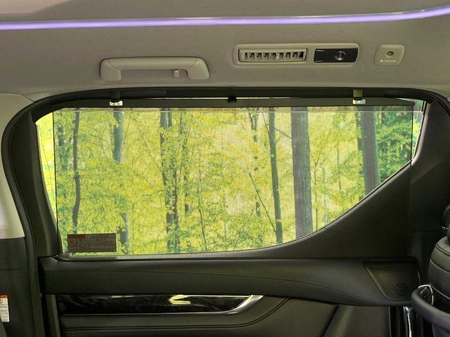 ヴェルファイア(新潟県新潟市東区)