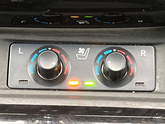 ヴェルファイア(新潟県新潟市東区)