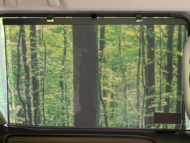 エスクァイア(新潟県長岡市)