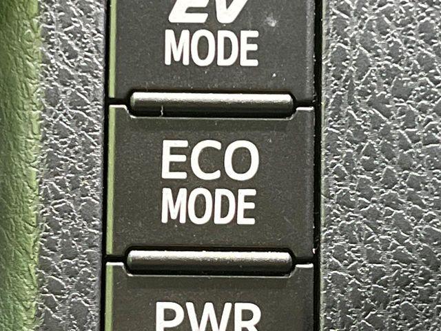 エスクァイア(新潟県長岡市)