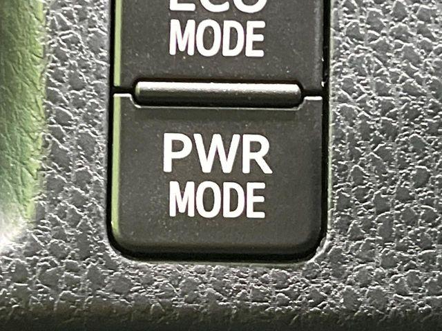 エスクァイア(新潟県長岡市)