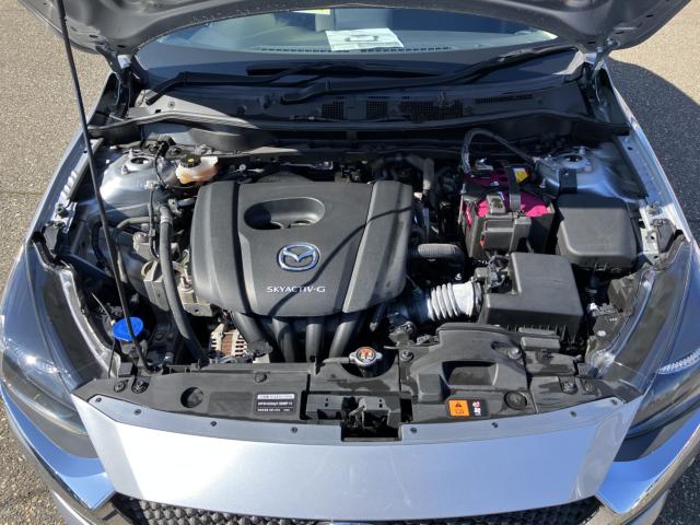 デミオ(新潟県新潟市西蒲区)