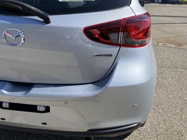 デミオ(新潟県新潟市西蒲区)