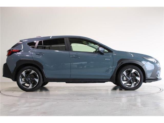 クロストレック（新潟県新潟市東区）画像14