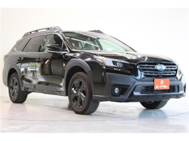 アウトバック（新潟県新潟市東区）画像7