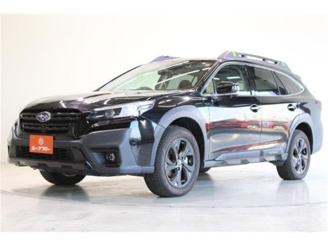 アウトバック（新潟県新潟市東区）画像9