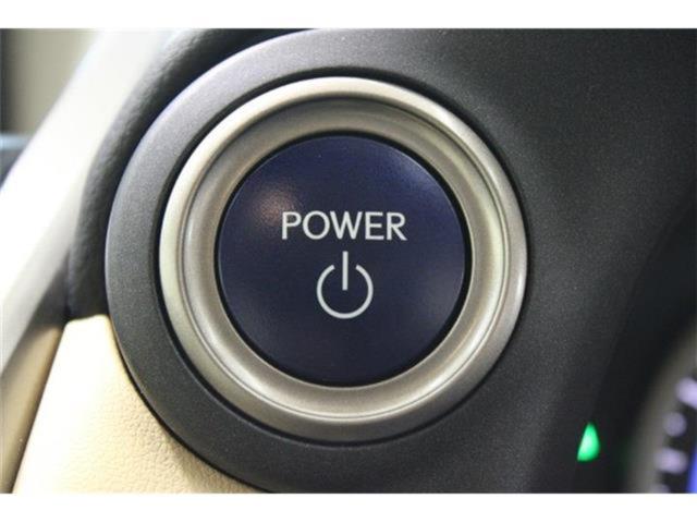 レクサスNX(新潟県新潟市東区)