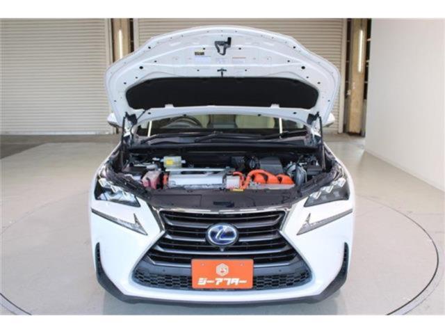 レクサスNX(新潟県新潟市東区)