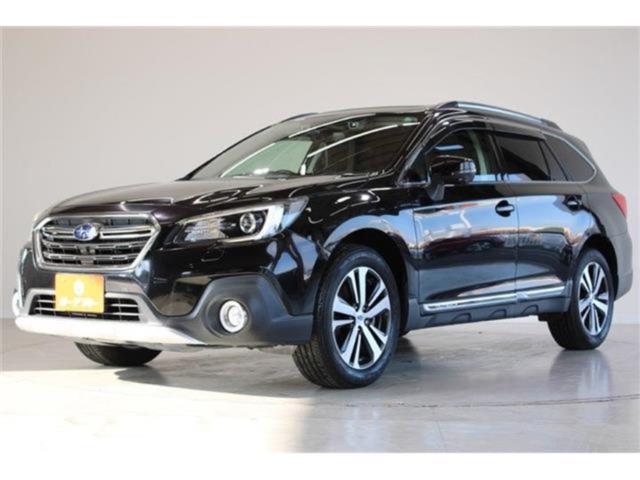 アウトバック（新潟県新潟市東区）画像9