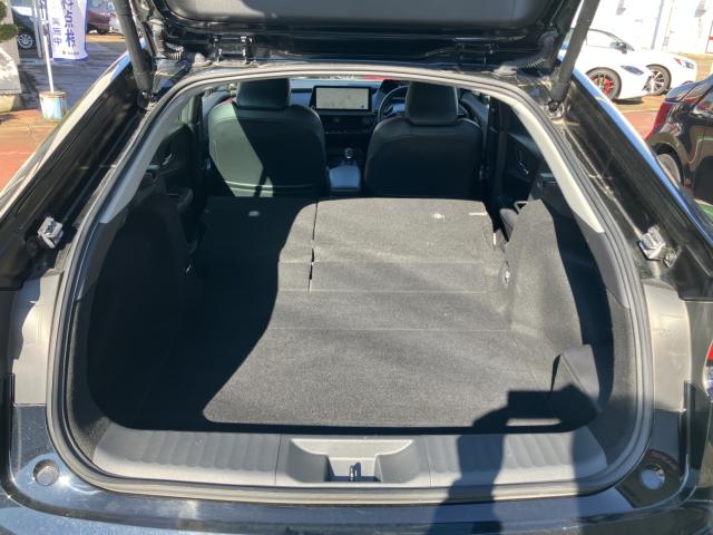 プリウス(新潟県長岡市)