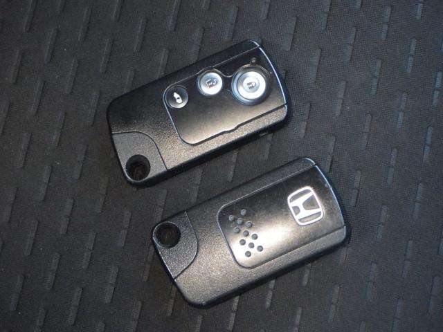 フリードスパイク(新潟県新潟市西区)