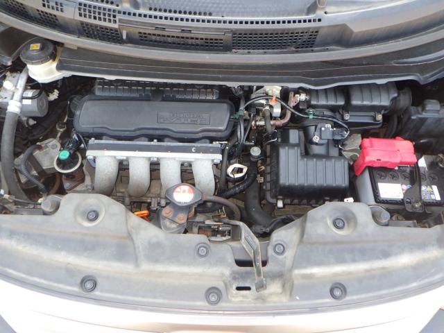 フリードスパイク(新潟県新潟市西区)