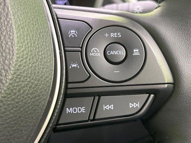 カローラクロス(新潟県長岡市)