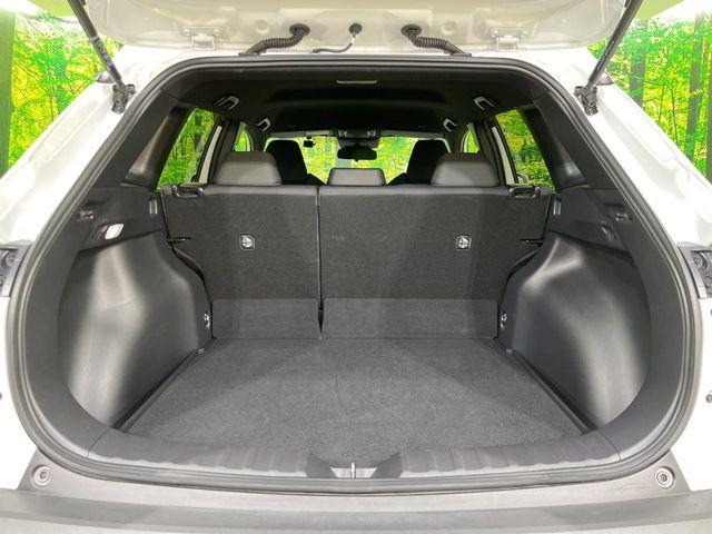 カローラクロス(新潟県長岡市)