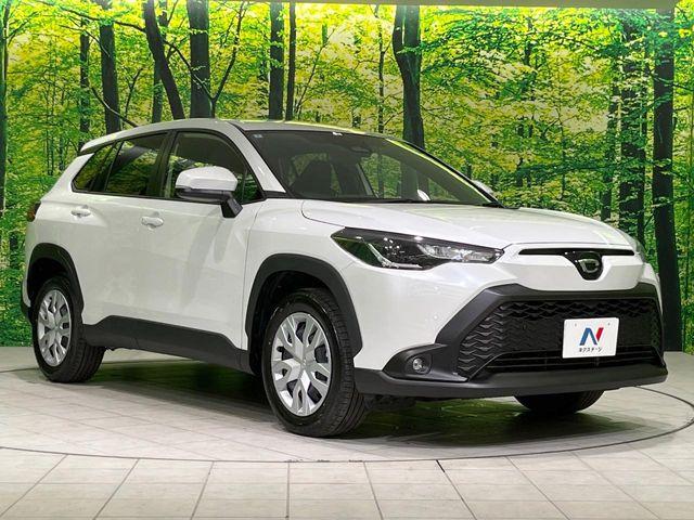 カローラクロス(新潟県長岡市)