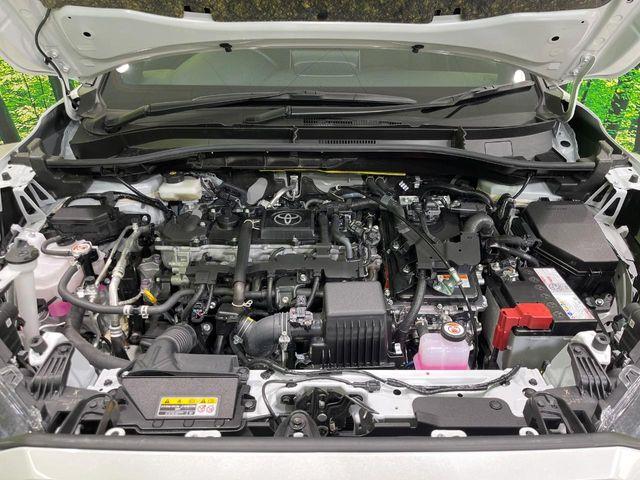 カローラクロス(新潟県長岡市)