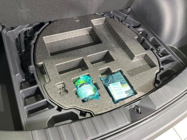 カローラクロス(新潟県長岡市)