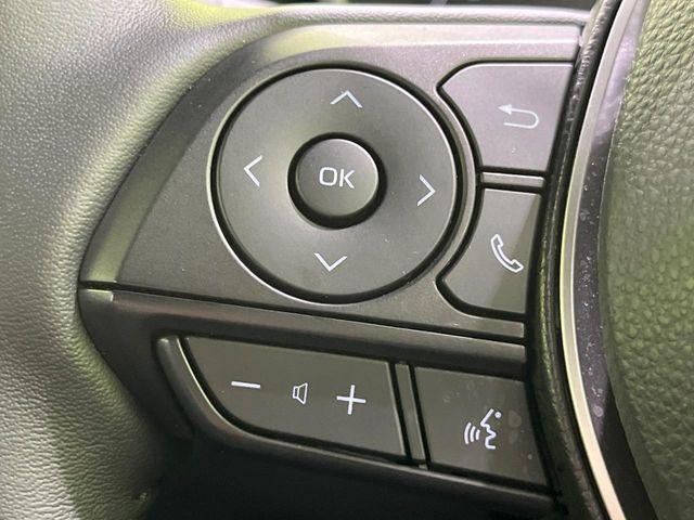 カローラクロス(新潟県長岡市)