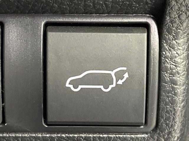 カローラクロス(新潟県長岡市)