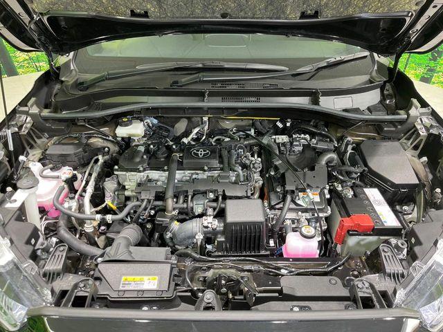 カローラクロス(新潟県長岡市)