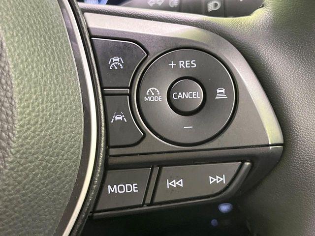 カローラクロス(新潟県長岡市)